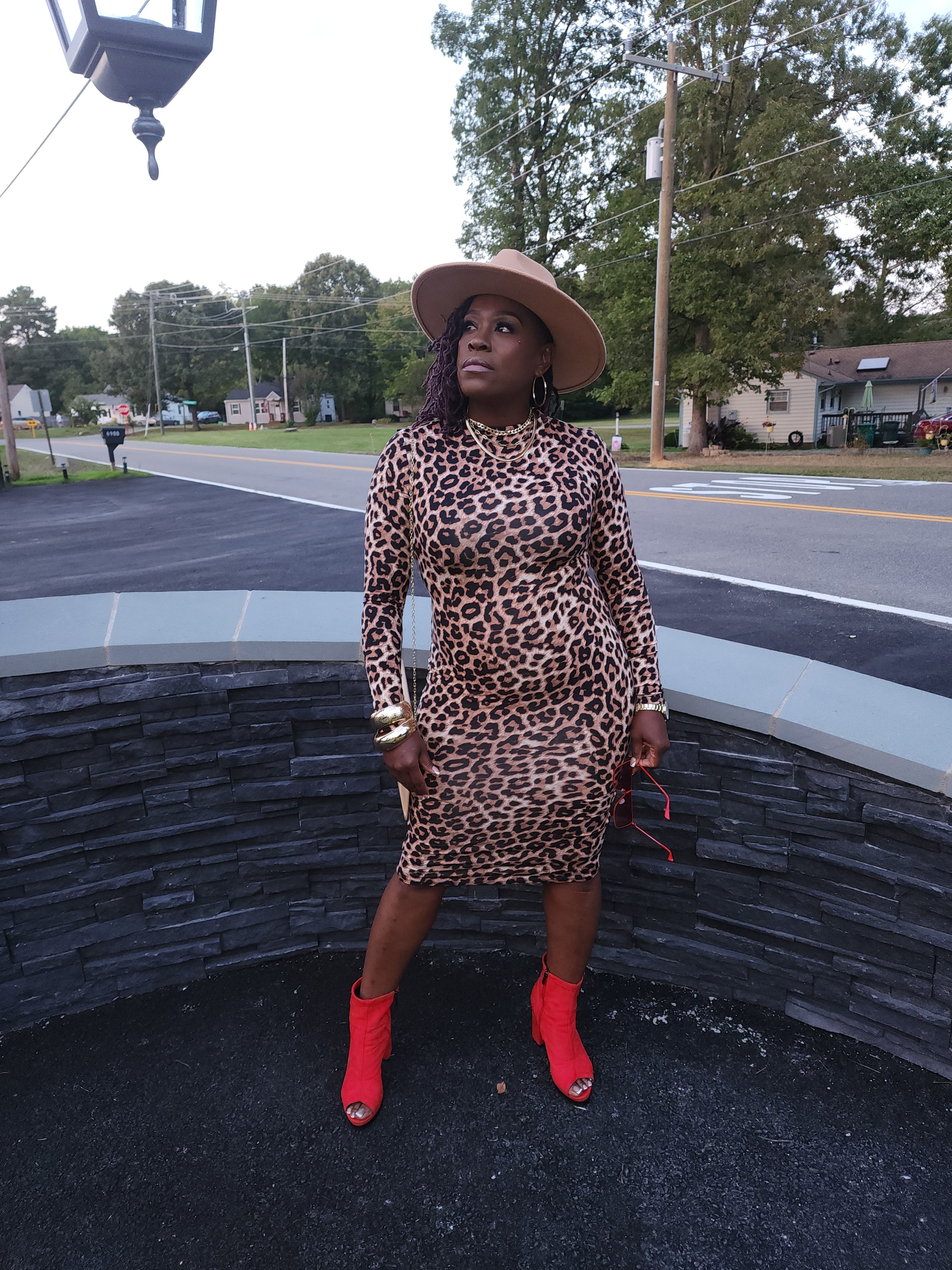 Wild Side Leopard Dress
