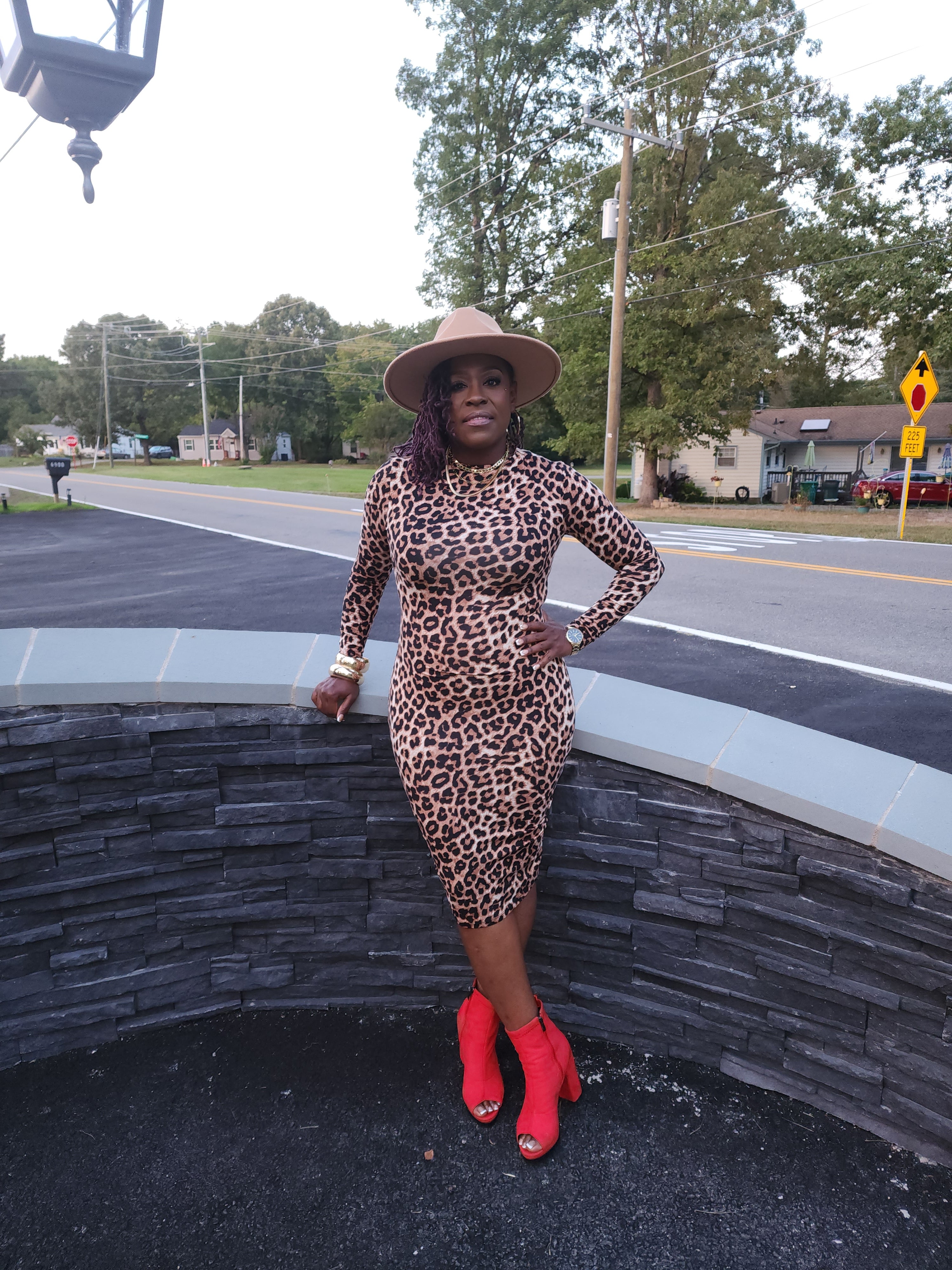 Wild Side Leopard Dress