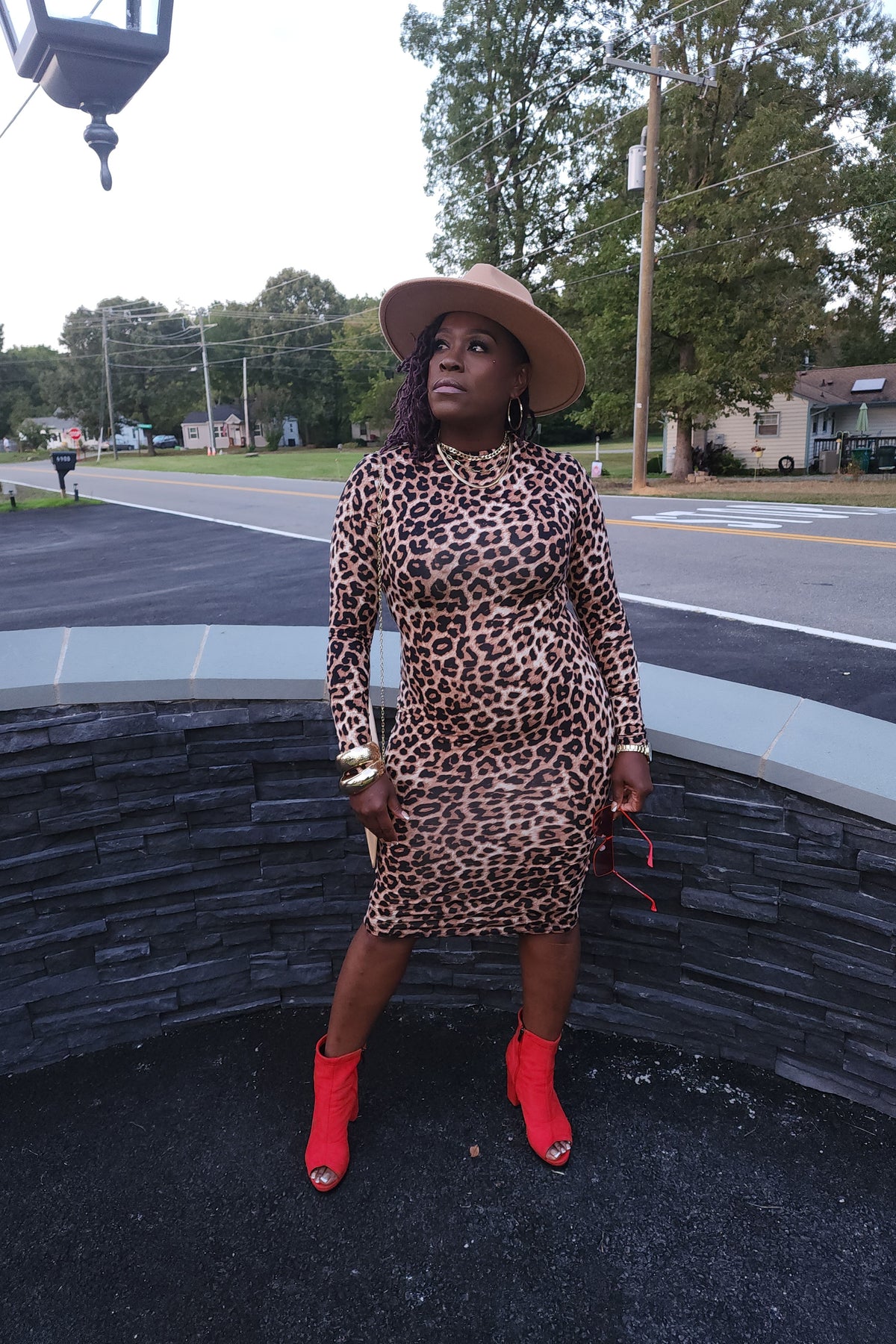Wild Side Leopard Dress by Vogue & Vibes Fashion, view 4